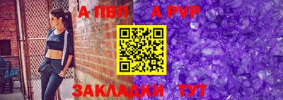 шишки Дубна