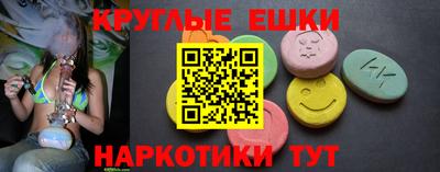 шишки Дубна