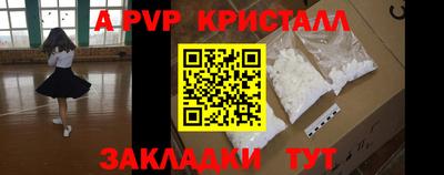 шишки Дубна