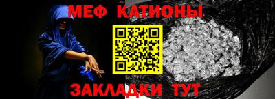 шишки Дубна