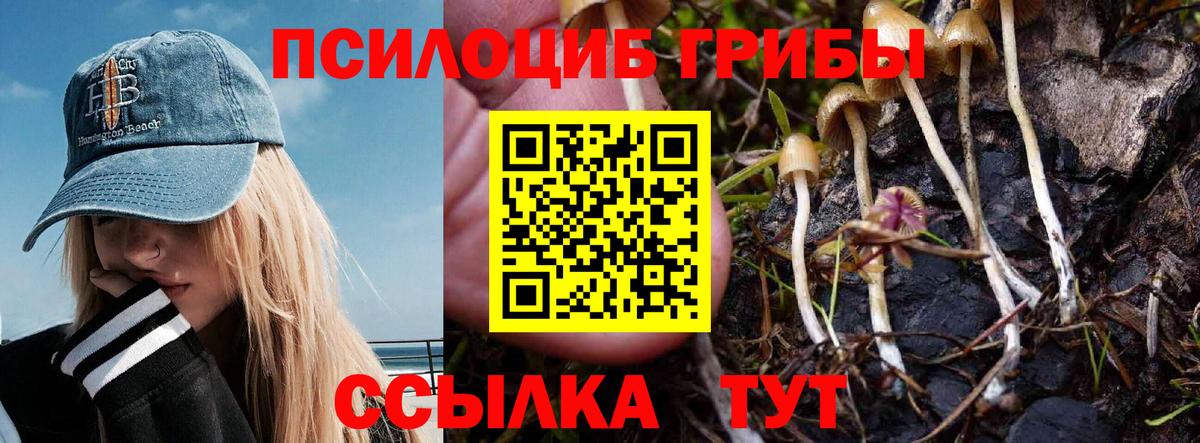 Галлюциногенные грибы ЛСД  Вход с VPN  Луга 