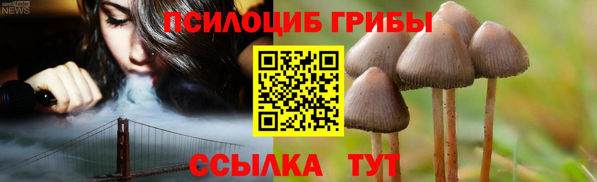 Галлюциногенные грибы Psilocybine cubensis Луга